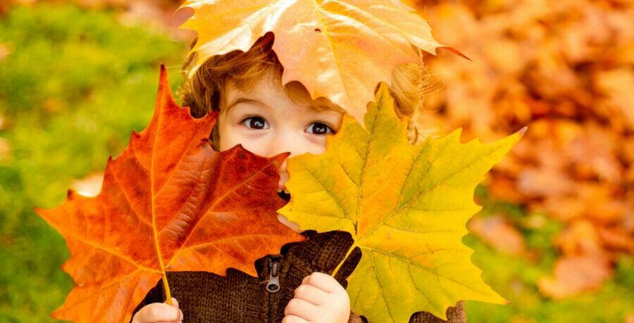 Célébration de l'Automne aux Charmilles